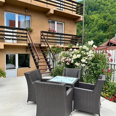 Apartment Greg Sinaia