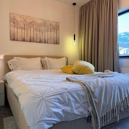 Apartment Greg Sinaia